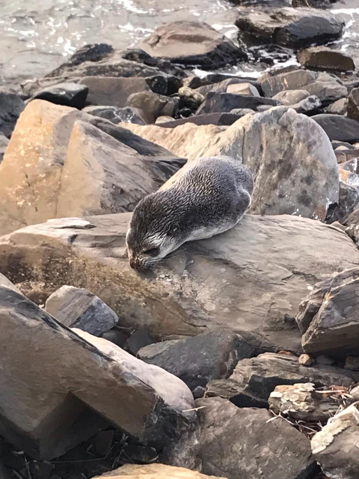 ホテル Yelki By The Sea Encounter Bay エクステリア 写真